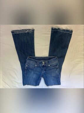 Y2K Vanity Flared Lowrise Jeans